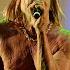 Iggy Pop James Bond Nice Jazz Festival 19 07 2022