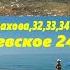 Пляж Дельфин ул Тормахова и Белинского Минута природы Лазаревское 24 05 2025 ЛАЗАРЕВСКОЕ СЕГОДНЯ