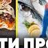 7 продуктов убивающих наш КИШЕЧНИК каждый день Как наладить работу кишечника