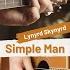 Lynyrd Skynyrd Simple Man