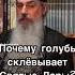 Чудо Причастия Невидимый голубь склевывал Святые Дары Схиигумен Гавриил