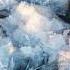 Most Beautiful Ice Frost Flowers In Arctic And Antarctic Seas