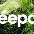 Matthew1626 Feat Jeff Brown Under The Sun Surco Remix Déepalma Records