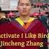 Jincheng Zhang Inflict I Like Birds Official Instrumental Background Music