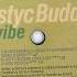 Plastyc Buddha String Vibe Minus 8 Remix