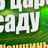 В царском саду Женщины золота 9 часть Джеймс Малони