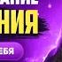 Заслуживаешь женского одобрения Ну и заслуживай отстань от себя Отрывок МК Концентрат