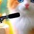 HAPPY BIRTHDAY TO YOU CARLEE HAPPY BIRTHDAY SONG WITH NAMES Adorable Cute Cat Cat Cute