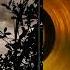 Insomnium Through The Shadows Digital Station X3