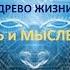 Ментальные и духовные инструменты учения Аркадия Петрова ДРЕВО ЖИЗНИ МЫСЛЬ И МЫСЛЕФОРМА