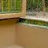 Build The Most Beautiful Modern Bamboo SWimming Pool Villa By Ancient Skills