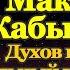 Акафист святому преподобному Макарию Жабынскому Белевскому иеросхимонаху 5 октября 2021