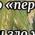 Не может быть всё время плохо поём стихи Автор Юлия Зельвинская поемстихи