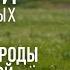 ДИАЛОГИ О ЛЕГАВЫХ СЕРИЯ 1 ВЫБОР ЛЕГАВОЙ АВТОР СЕРГЕЙ СМИРНОВ