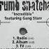 Krumb Snatcha Ft Gang Starr Incredible Acapella