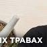 Самые распространенные мифы о травах Мистер Травник