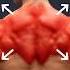 The ONLY 2 Exercises You Need For A Thick Back