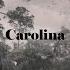 Where The Crawdads Sing Carolina Taylor Swift