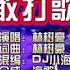 林子豪 果敢打歌妹 Dj小海版 KTV 导唱字幕 备有伴奏视频