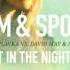 Jam Spoon Feat Plavka Vs David May Amfree Right In The Night Bodybangers Remix Edit