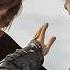 Hiccup And Toothless Reunite Years Later How To Train Your Dragon The Hidden World