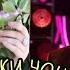 Шохин ва Фотима Ёраки Чон 2025 Shohin Fotima Yraki Jon 2025