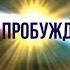 734 2 СЧАСТЛИВАЯ ЧЕТВЕРКА ЭНДОРФИН ОКСИТОЦИН СЕРОТОНИН И ДОФАМИН
