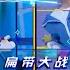 Happy Camp Meteor Garden F4 Dylan Wang Darren Chen Caesar Wu Y Connor Leong
