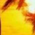 Kelly Noland Serenity Gary J Brown Remix
