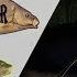 Carp Fishing Bear Lake Insane Bite Rate Russian Fishing 4