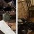 Hoarders Home Ruined By 40 YEARS Of Trash A E