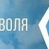 Жизнь это свободная воля или судьба