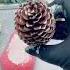 How To Quickly Paint Pinecones For Christmas Diy Pinecones Christmasdiydecor