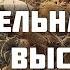 На этой скале всё точно так же как в 1944 м Раскопки Второй Мировой войны