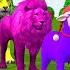 Paint Animals Duck Cow Gorilla Lion Chicken Elephant Fountain Crossing Turtle Cartoon Game