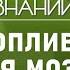 Ноотропы как повысить работоспособность мозга Лекция нейробиолога Вячеслава Дубынина