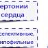 Бета блокаторы от гипертонии и болезней сердца