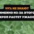 Укроп будет расти всегда дача огород сад