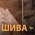 Шива повелитель ложного эго и куратор всех паломников Вриндавана Последние дни Санатаны Госвами