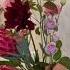 How To Make Flower Art For La Violetta