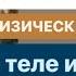 НОВЫЕ СИМПТОМЫ В ТЕЛЕ при переходе в 7 11D Встройка огненной структуры РАЗВОРОТ СОЗНАНИЯ