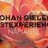 Johan Gielen Tastexperience Namaste Extended Mix BLACK HOLE RECORDINGS