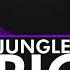 Dubstep RIOT Jungle Fury