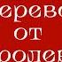 Посольство королевы Кристины Шведской в Россию 1647 г Конфетное дерево Елизавета Титова Лекция