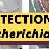 Detection Of Escherichia Coli E Coli A Complete Procedure ISO 9308 1 ISO 16649