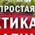 САМАЯ ПРОСТАЯ ТЕХНИКА ЗАЗЕМЛЕНИЯ всего 5 минут