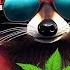 Indica Physical Mental Relaxation High Dope Raccoon Smoke Weed And Listen Space LoFi Chill Music