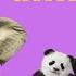 ABC With Animals English Alphabet For Toddlers Английский алфавит с животными Abc Alphabet Animals