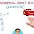 Anatomical Snuff Box Contents Mnemonic Anatomy Shorts