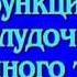 Нормализация желудочно кишечного тракта Normalization Of The Gastrointestinal Tract